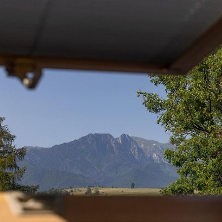 Apartamenty U Anusia ザコパネ エクステリア 写真